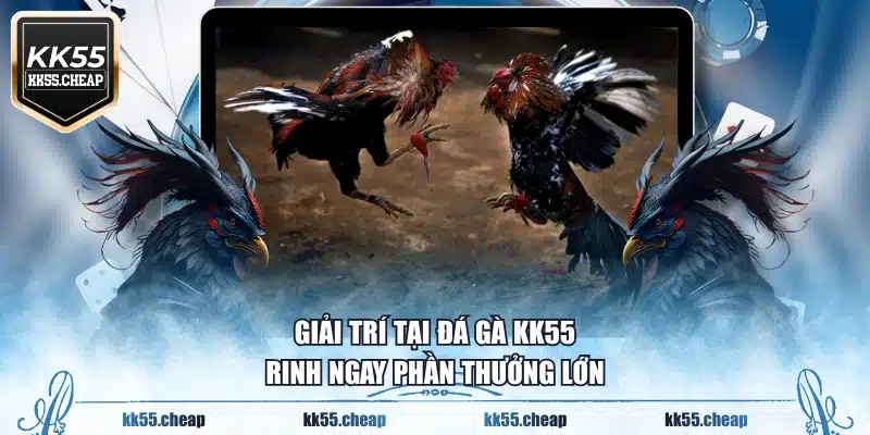Giải trí tại đá gà KK55 rinh ngay phần thưởng lớn