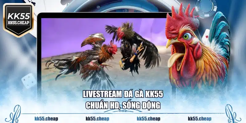Livestream đá gà KK55 chuẩn HD, sống động